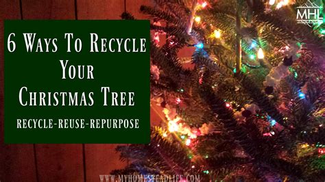 Recycle your Christmas tree across the St. Louis area